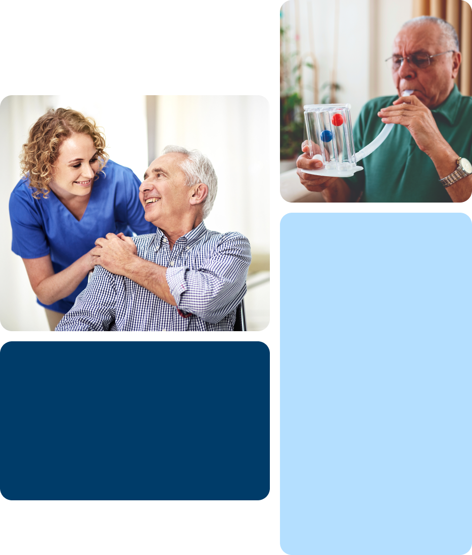 Grid Pulmonary Program